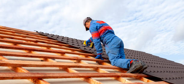 Best Roof Ventilation Installation  in Levelland, TX